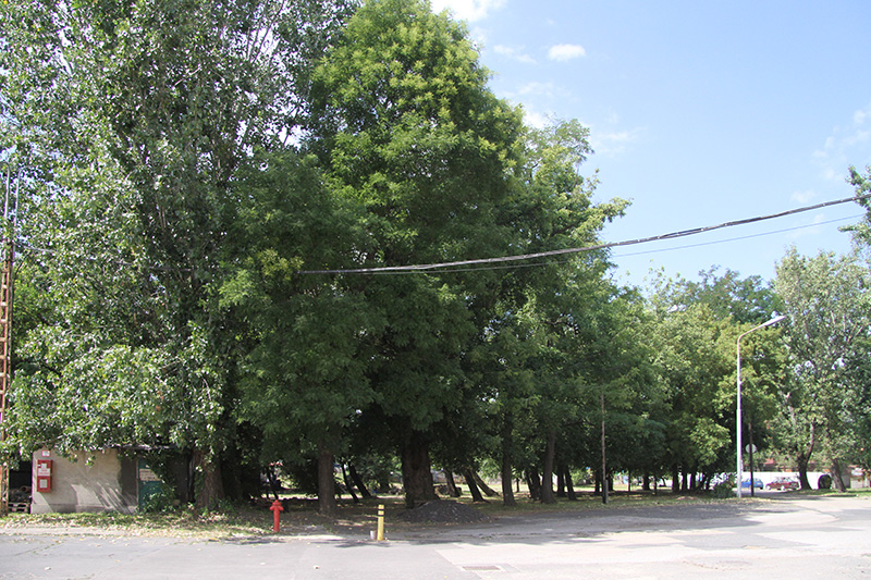 Ipari Park