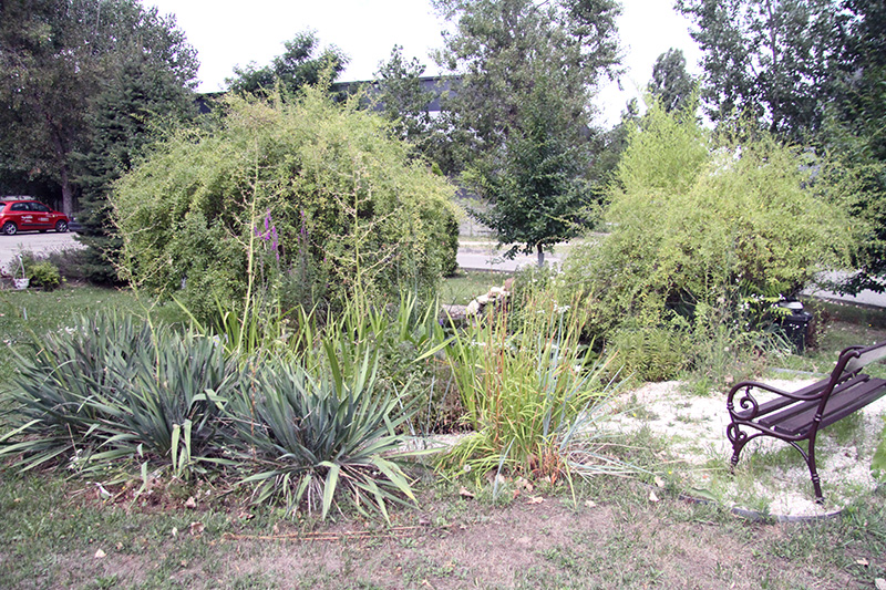 Ipari Park